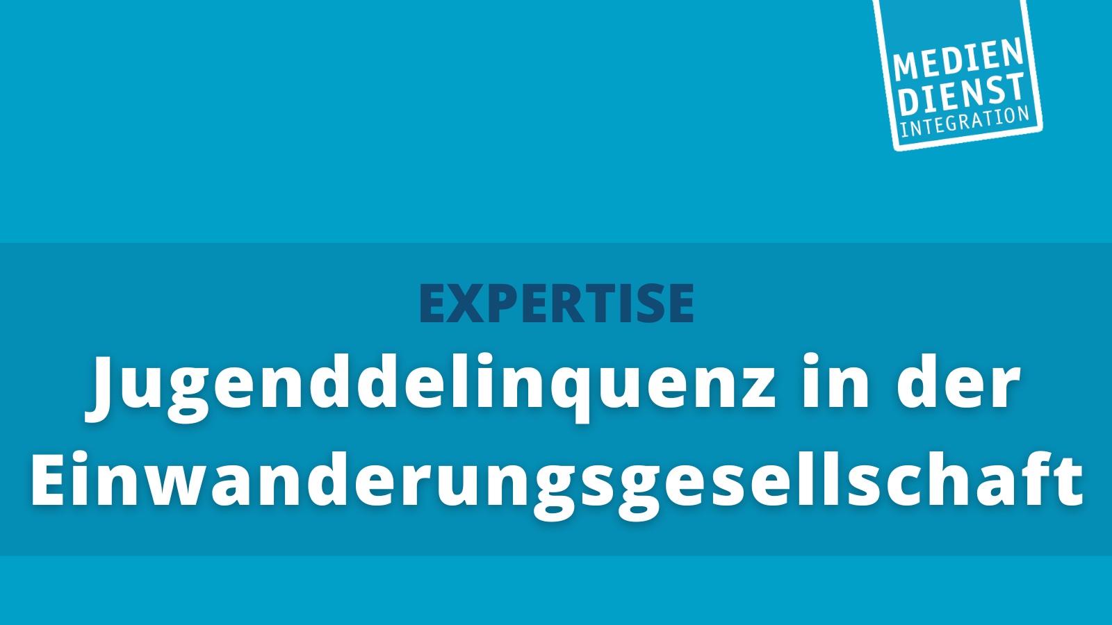 Kriminalität unter Jugendlichen Artikel MEDIENDIENST INTEGRATION